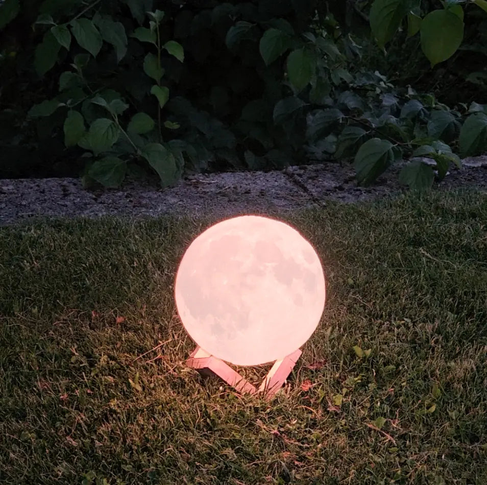 Lampe Bois de Lune